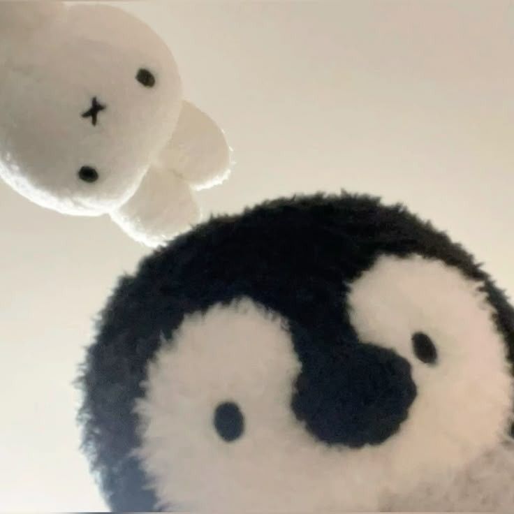 Toutes les créations